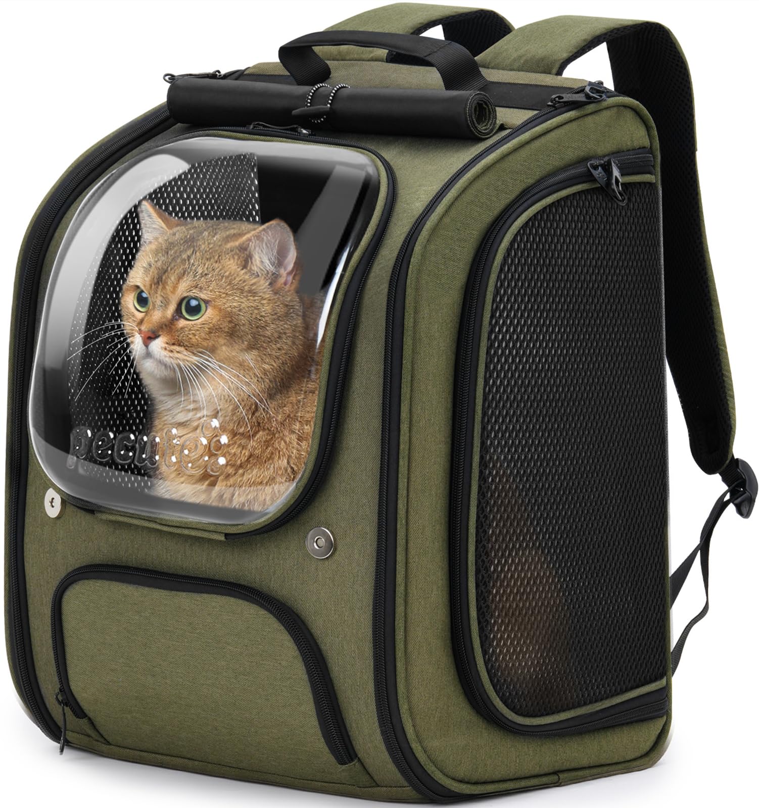 Pecute cat backpack bubble large space for safe travel and comfort.