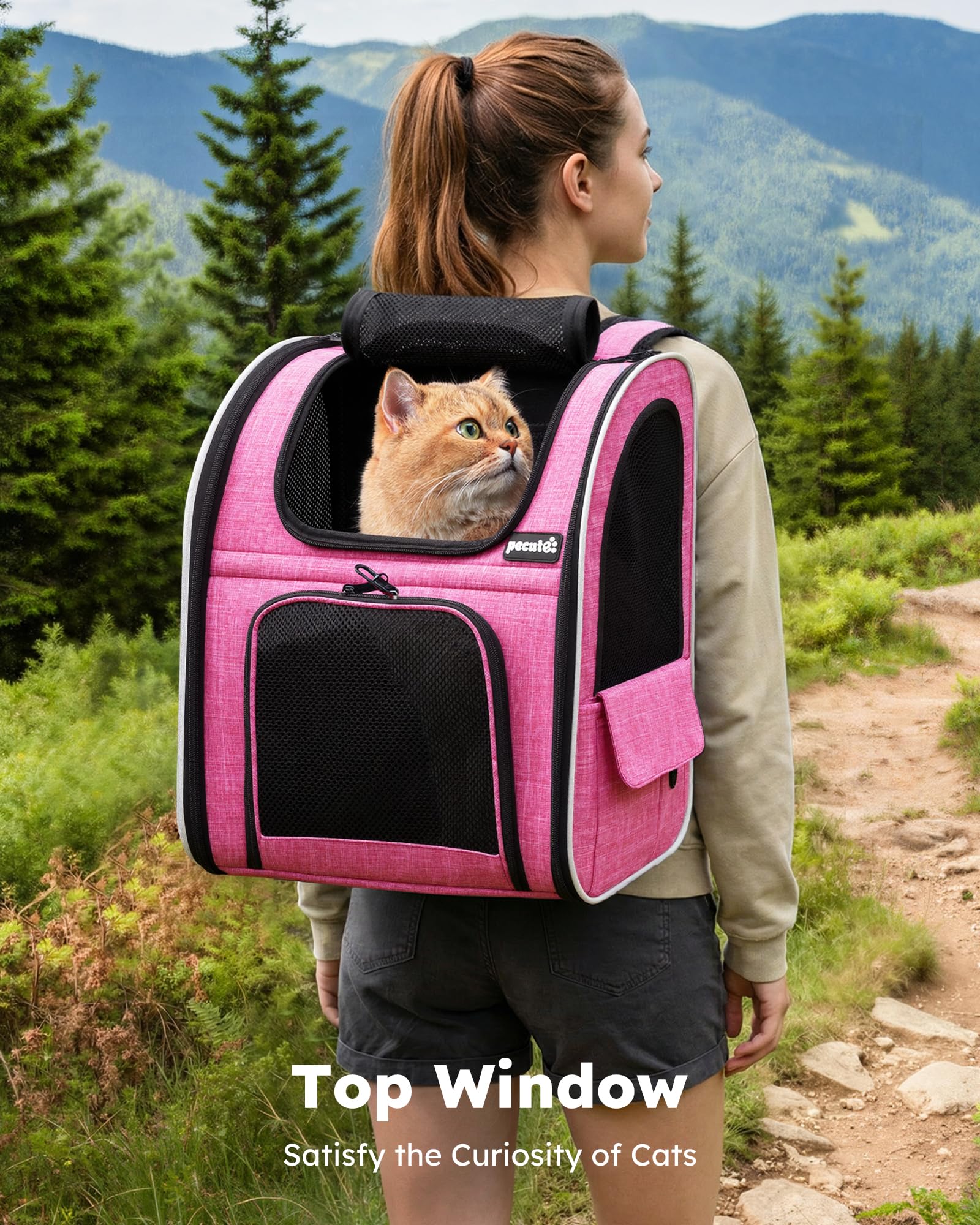 Pecute expandable cat backpack rear expanded panel for extra space and airflow.