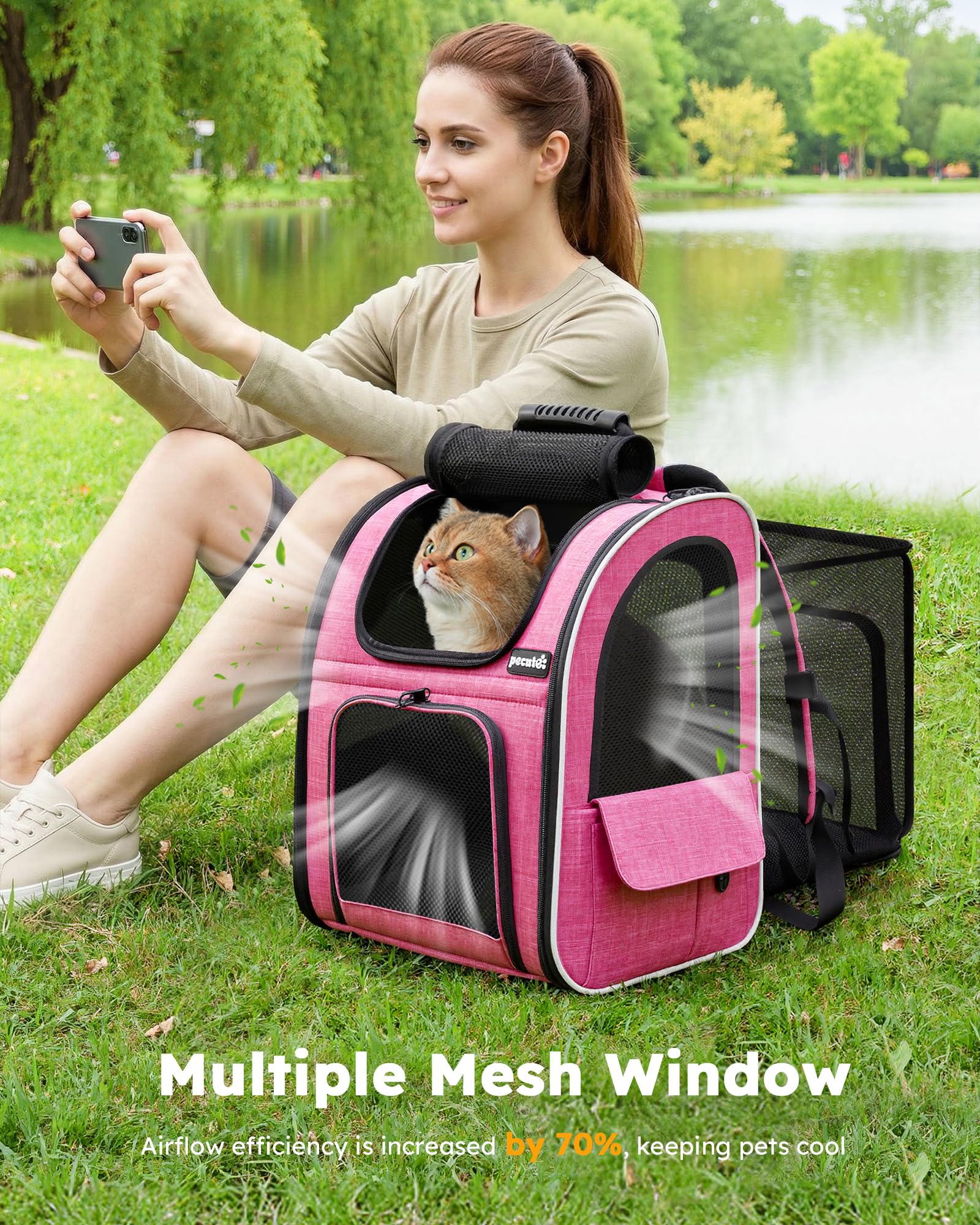 Pecute retractable safety rope keeps your pet secure while exploring outdoors.