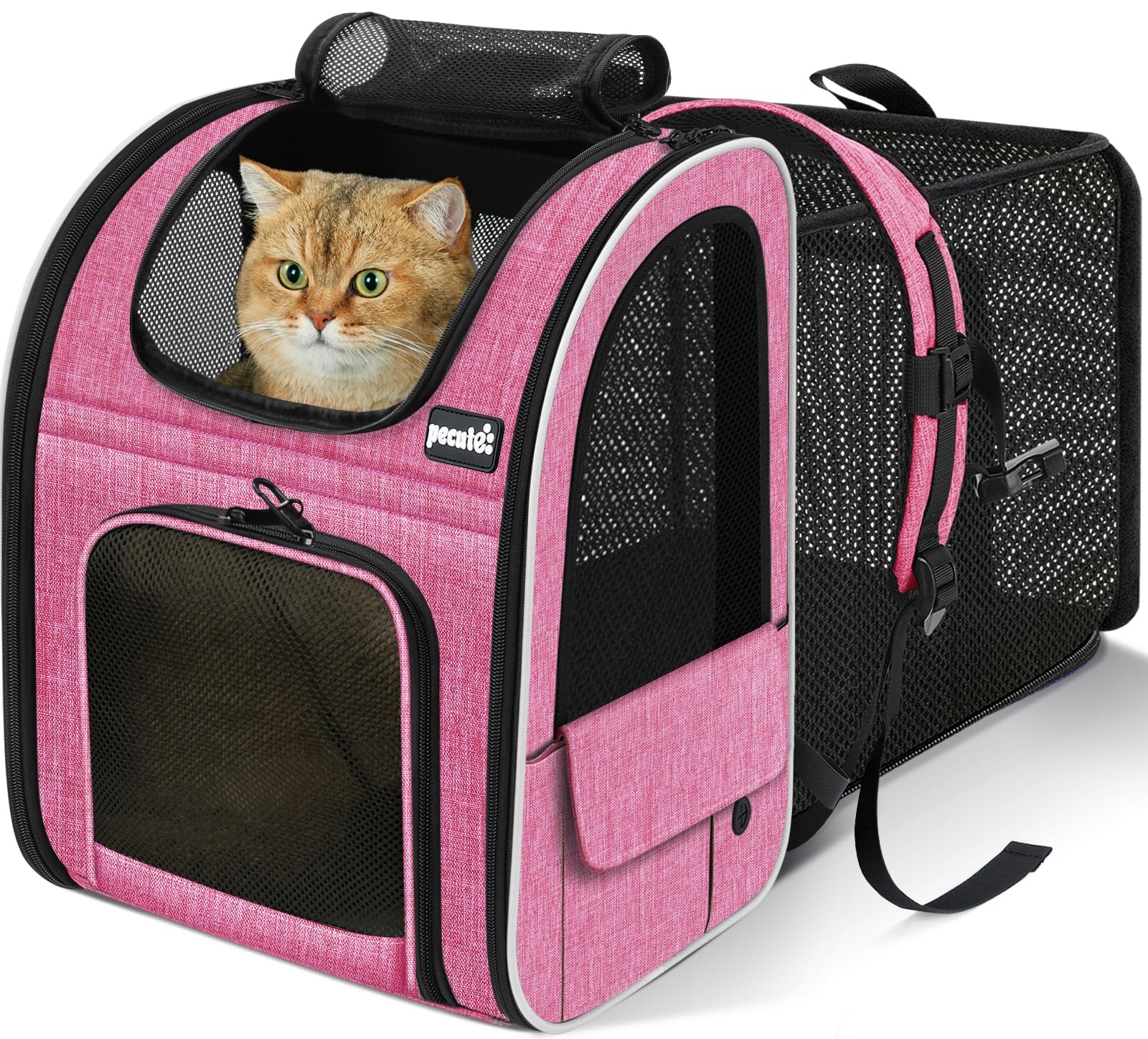 Pecute expandable cat backpack carrier side view in pink showing slim profile and comfort.
