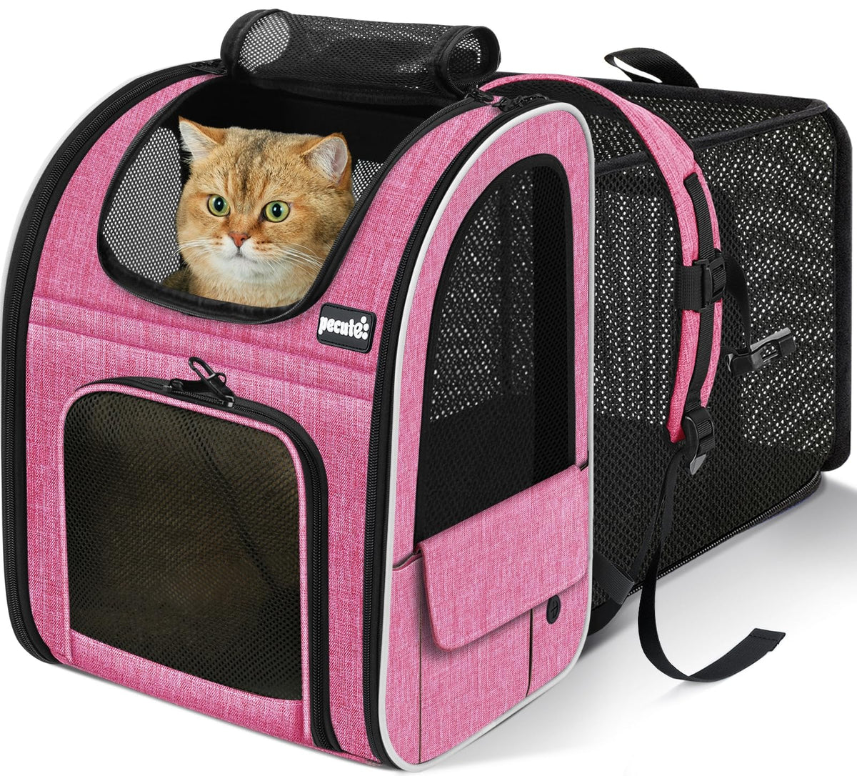 Pecute expandable cat backpack carrier side view in pink showing slim profile and comfort.