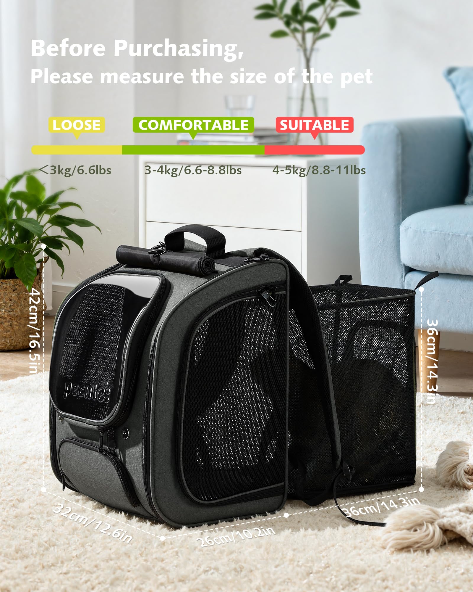 Pecute cat backpack dimensions 42x32x26 cm for size reference.