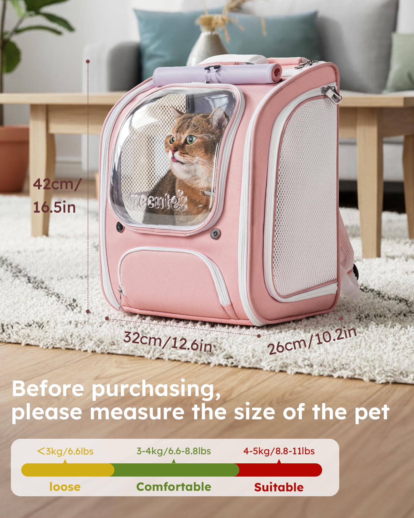 Pecute Cat Backpack Carrier dimensions guide to help fit for pets.
