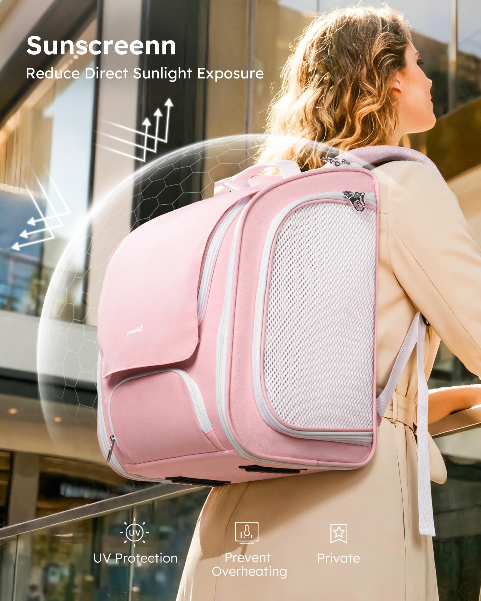 Pecute Cat Backpack Carrier ergonomic backplate viewed from back for support.