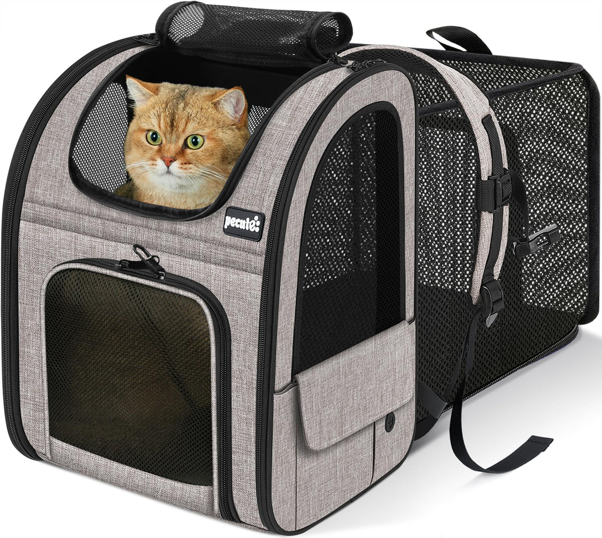 Pecute cat backpack carrier back view shows expandable space for comfort on the go.