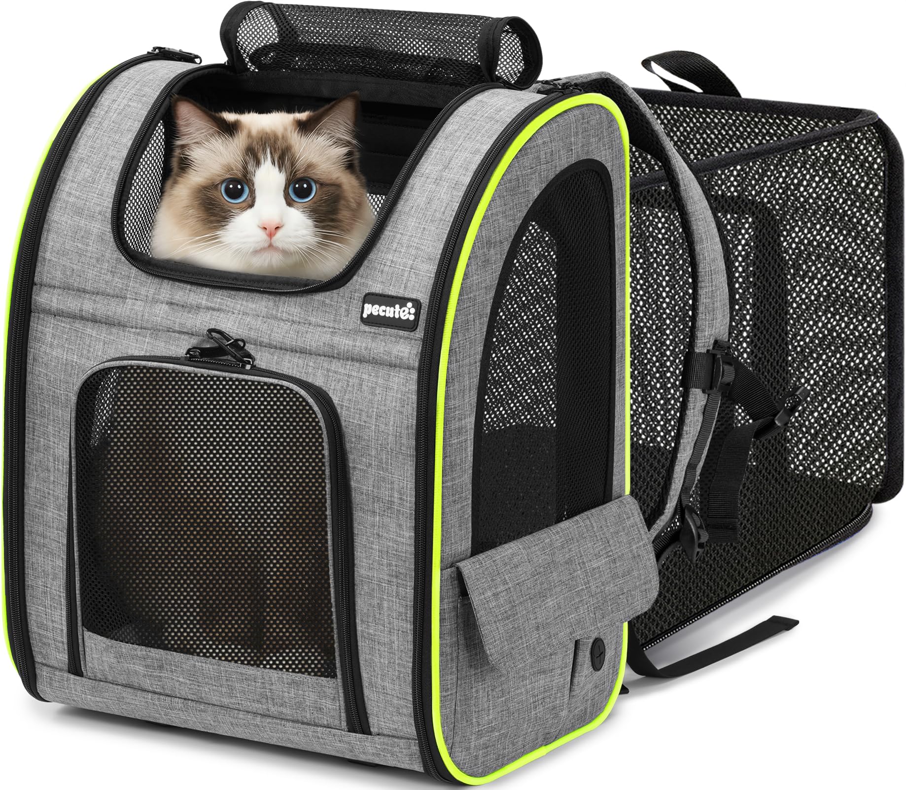 Pecute cat backpack expandable back view offers extra space for comfortable travel