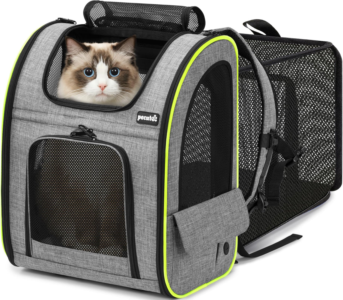 Pecute cat backpack expandable back view offers extra space for comfortable travel