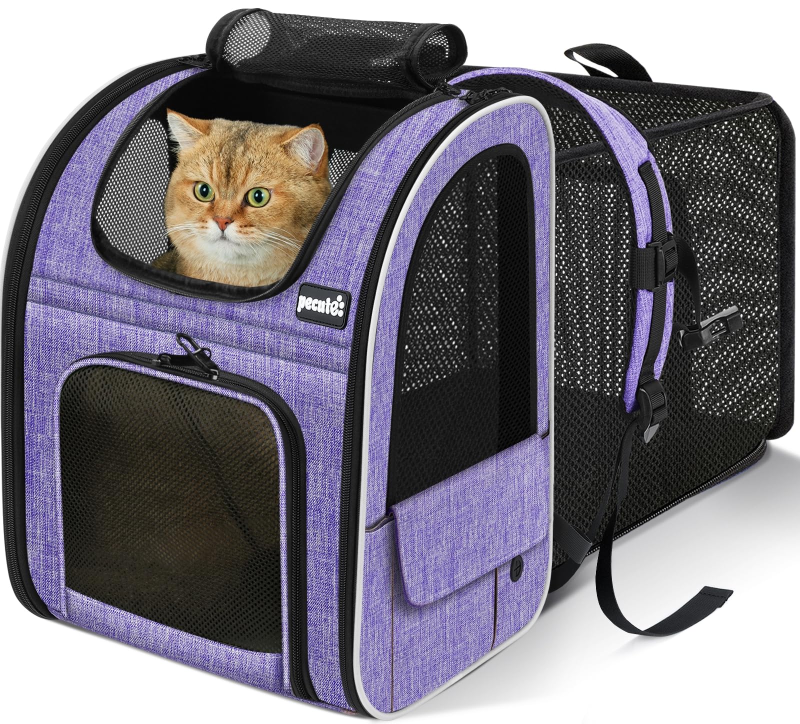 Pecute Cat Backpack Expandable back panel for relaxed trips