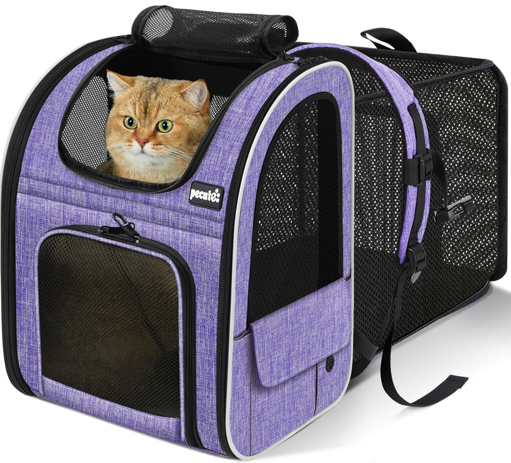 Pecute Cat Backpack Expandable back panel for relaxed trips