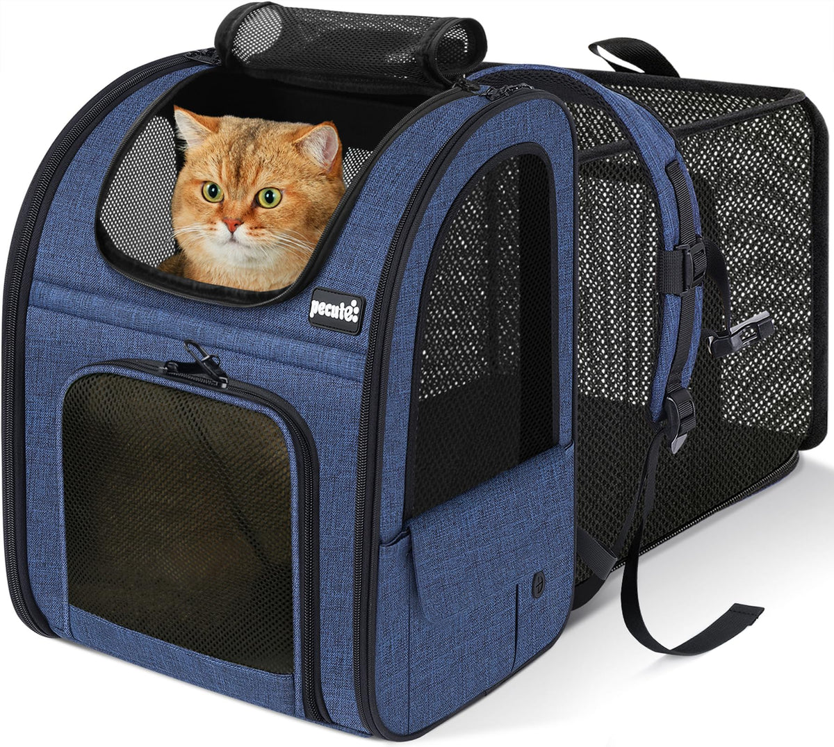 Pecute cat backpack expandable back provides extra space for a relaxed travel stretch