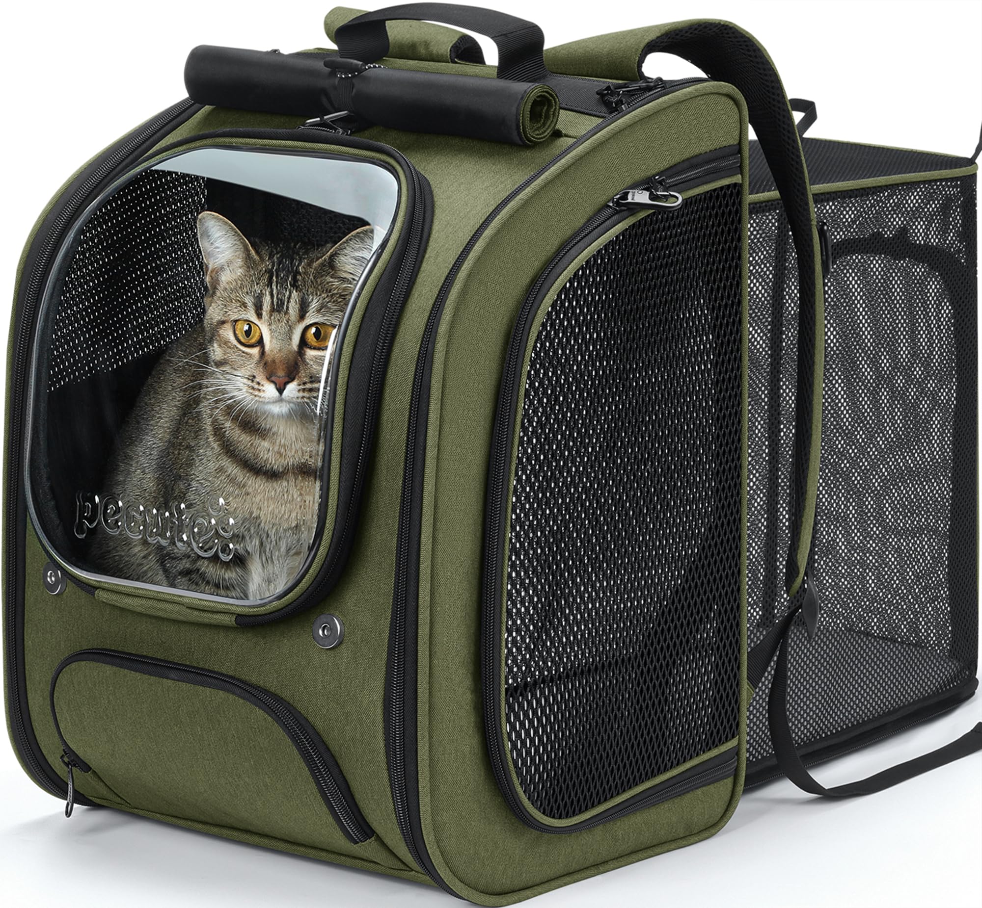 Pecute cat backpack expandable front view offers extra room for relaxed travel.