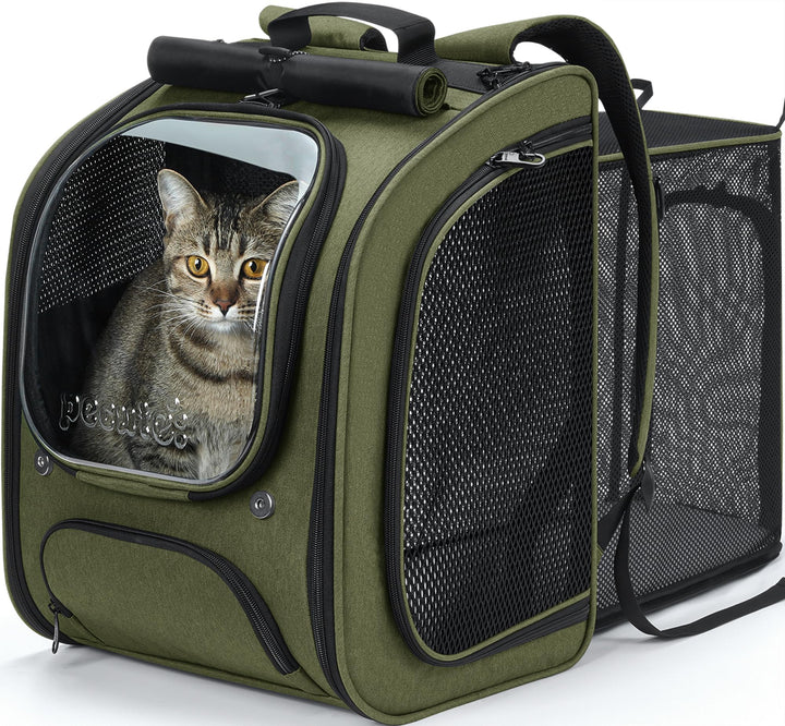 Pecute cat backpack expandable front view offers extra room for relaxed travel.