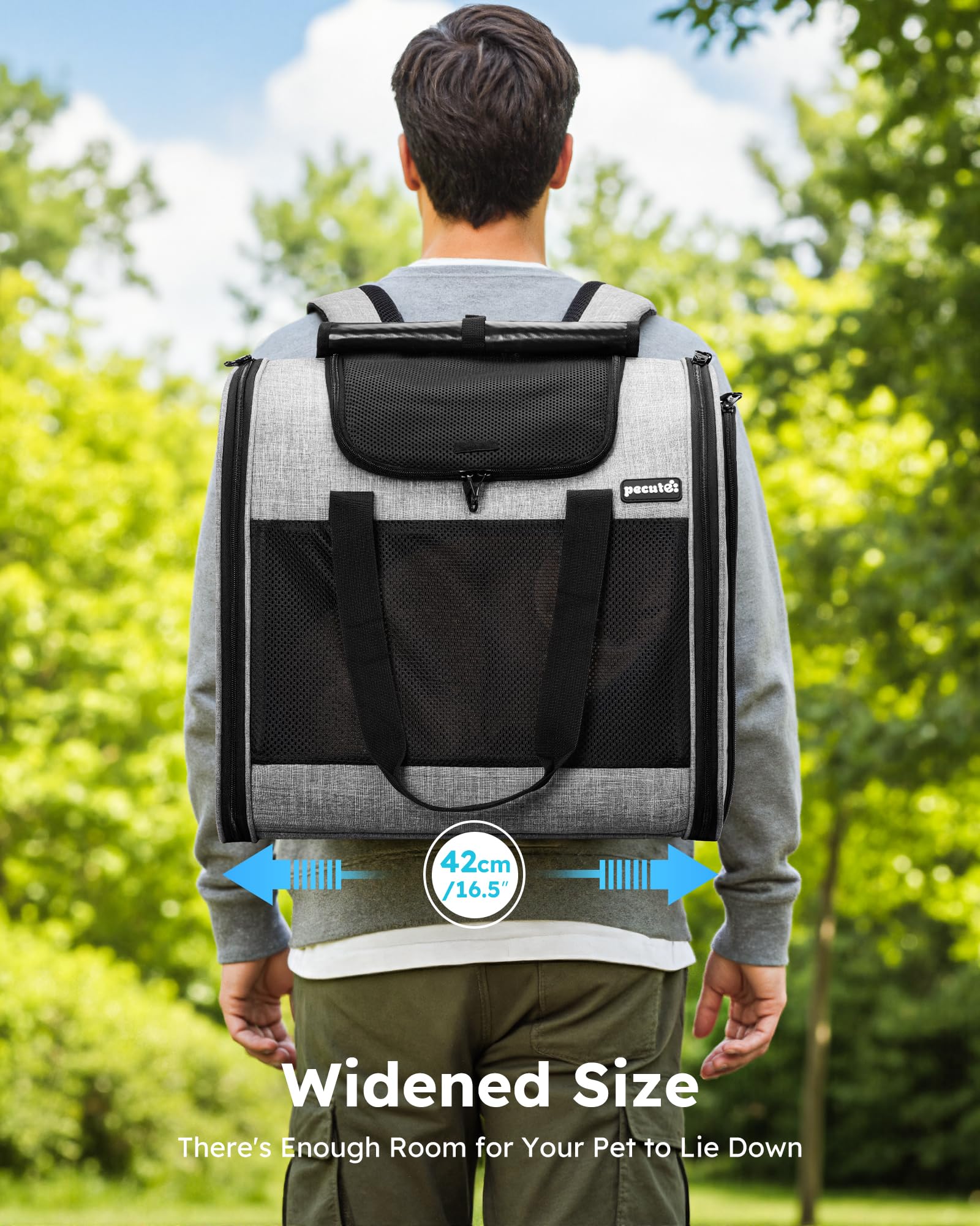 Pecute cat backpack with sturdy frame maintains shape for secure travel