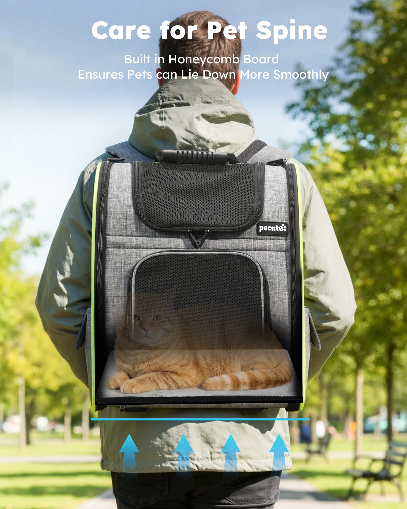 Pecute cat backpack waterproof Oxford fabric protects against rain.