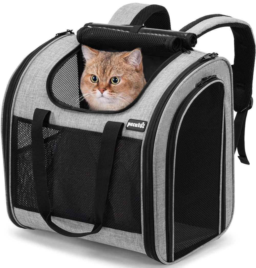 Pecute cat backpack with widened interior space for comfortable lounging and movement