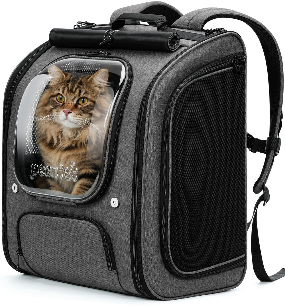 Pecute Cat Backpack XL front bubble view showing roomy interior for safe travel.