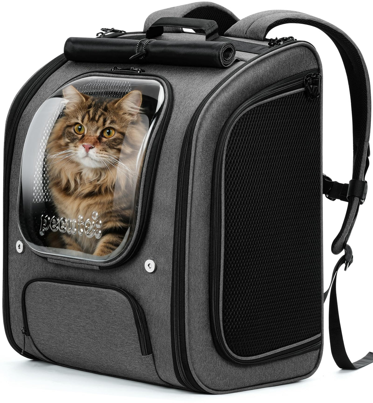 Pecute Cat Backpack XL front bubble view showing roomy interior for safe travel.