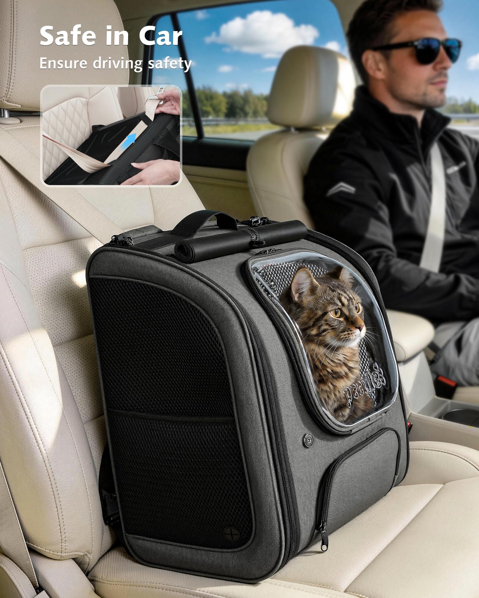 Pecute Cat Backpack XL padded shoulder straps ease carrying on long walks.
