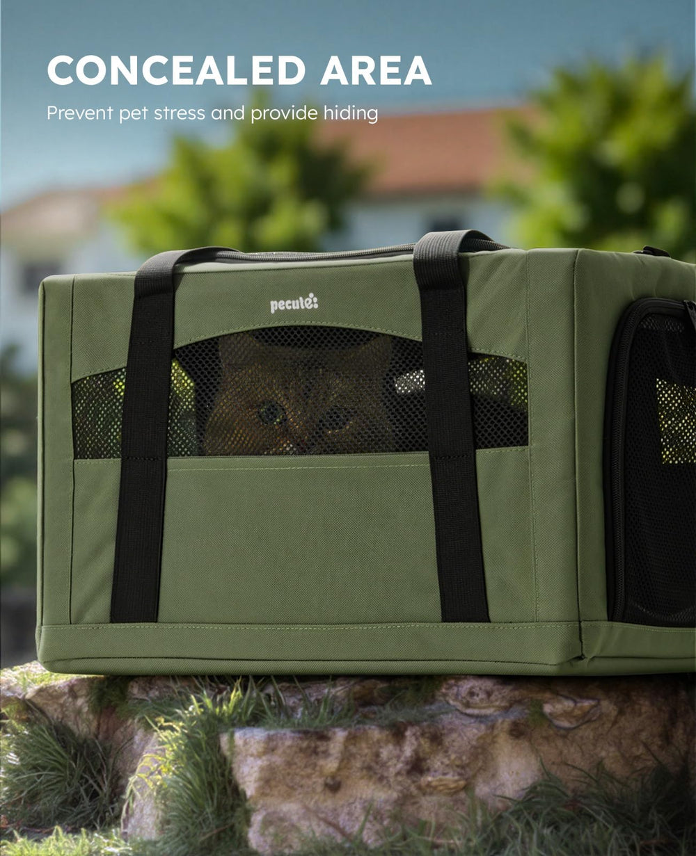 Pecute cat carrier breathable mesh for airflow