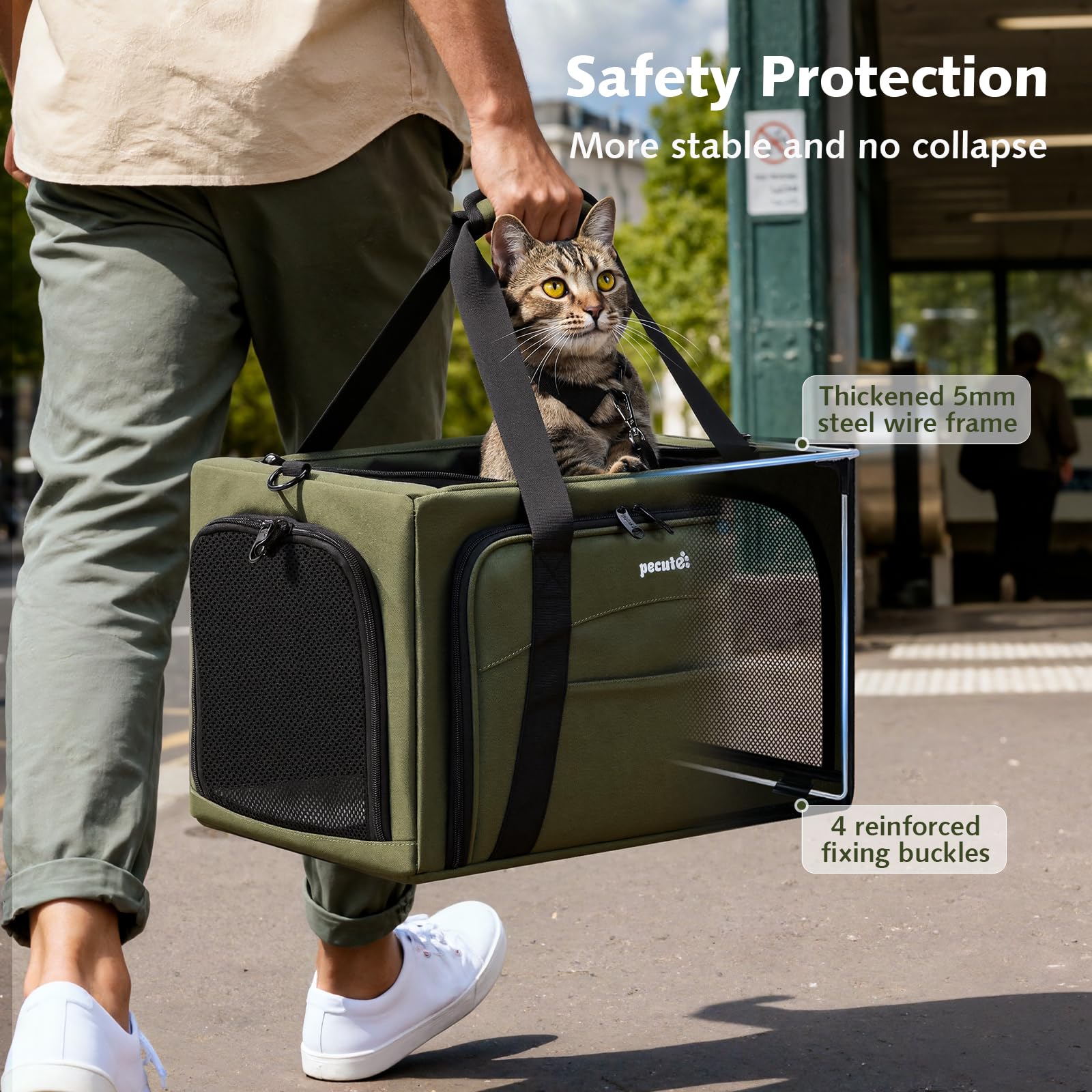 Pecute cat carrier dual locking zippers prevent escapes during trips