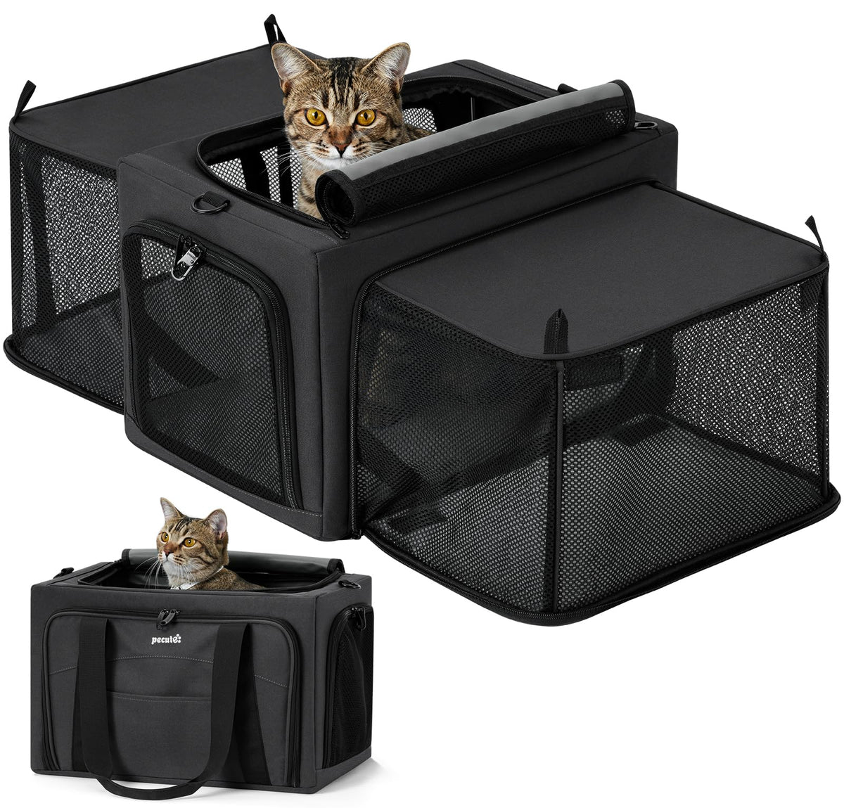 Pecute cat carrier expandable frame shows sturdy 5mm steel construction for stability during travel