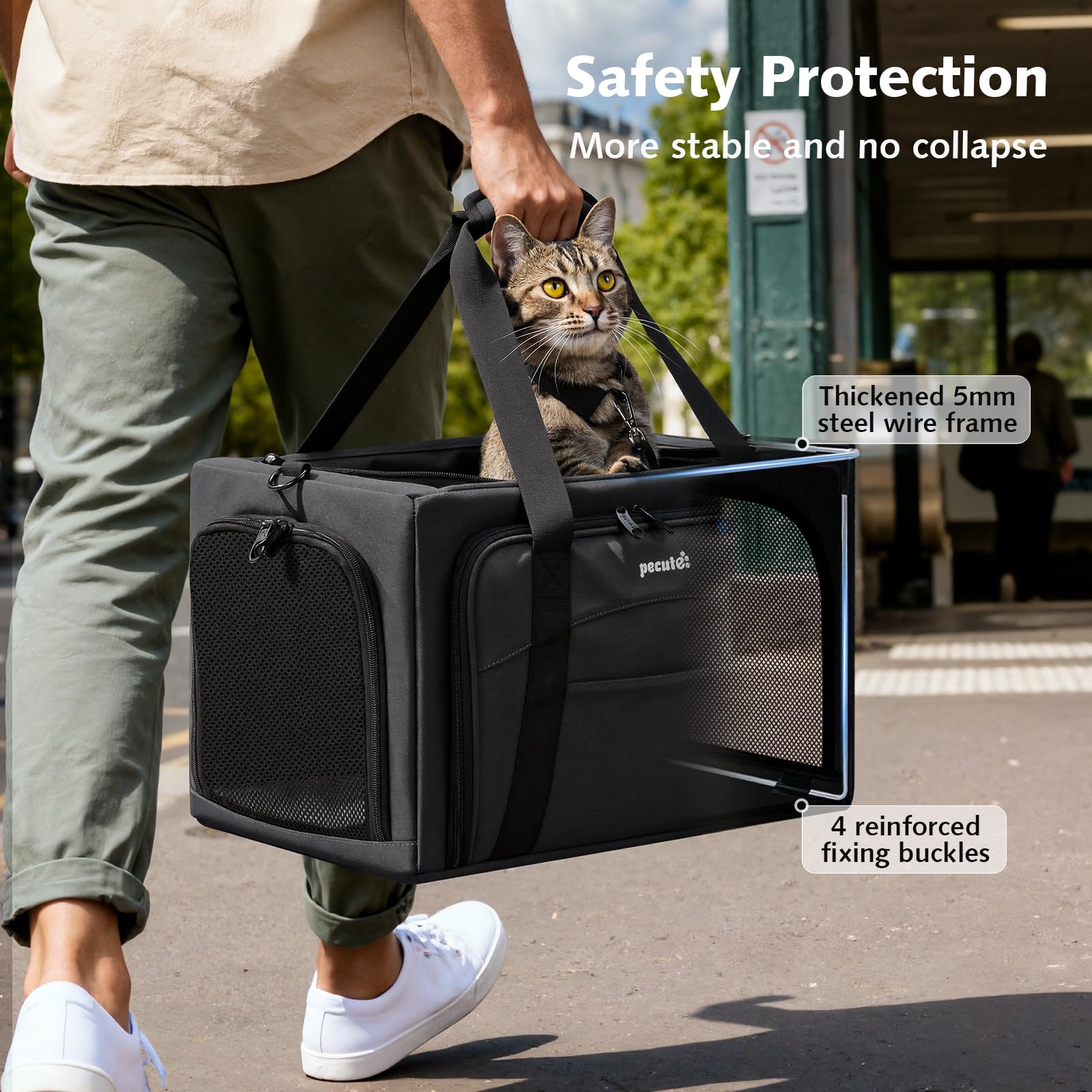 Pecute cat carrier expandable space highlights 200% larger interior for comfort on journeys