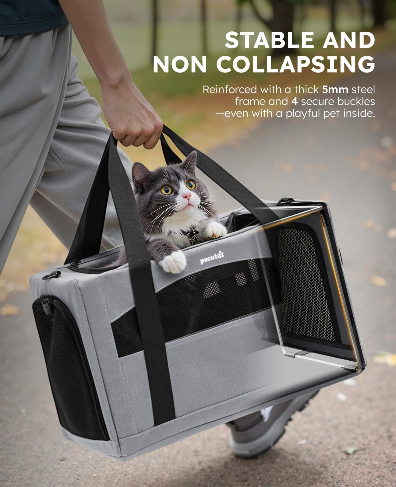 Pecute cat carrier hidden anxiety partition offers a safe retreat.