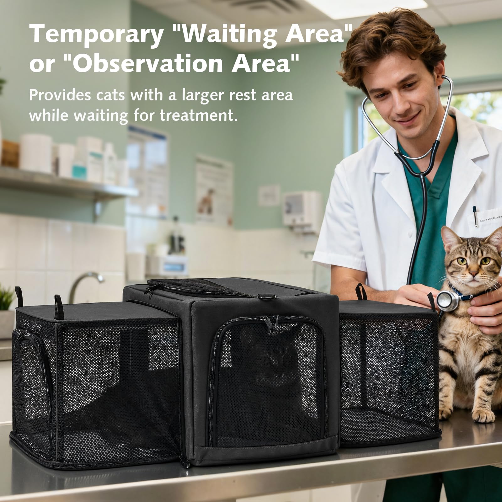 Pecute cat carrier interior safety leash adds extra restraint during transit