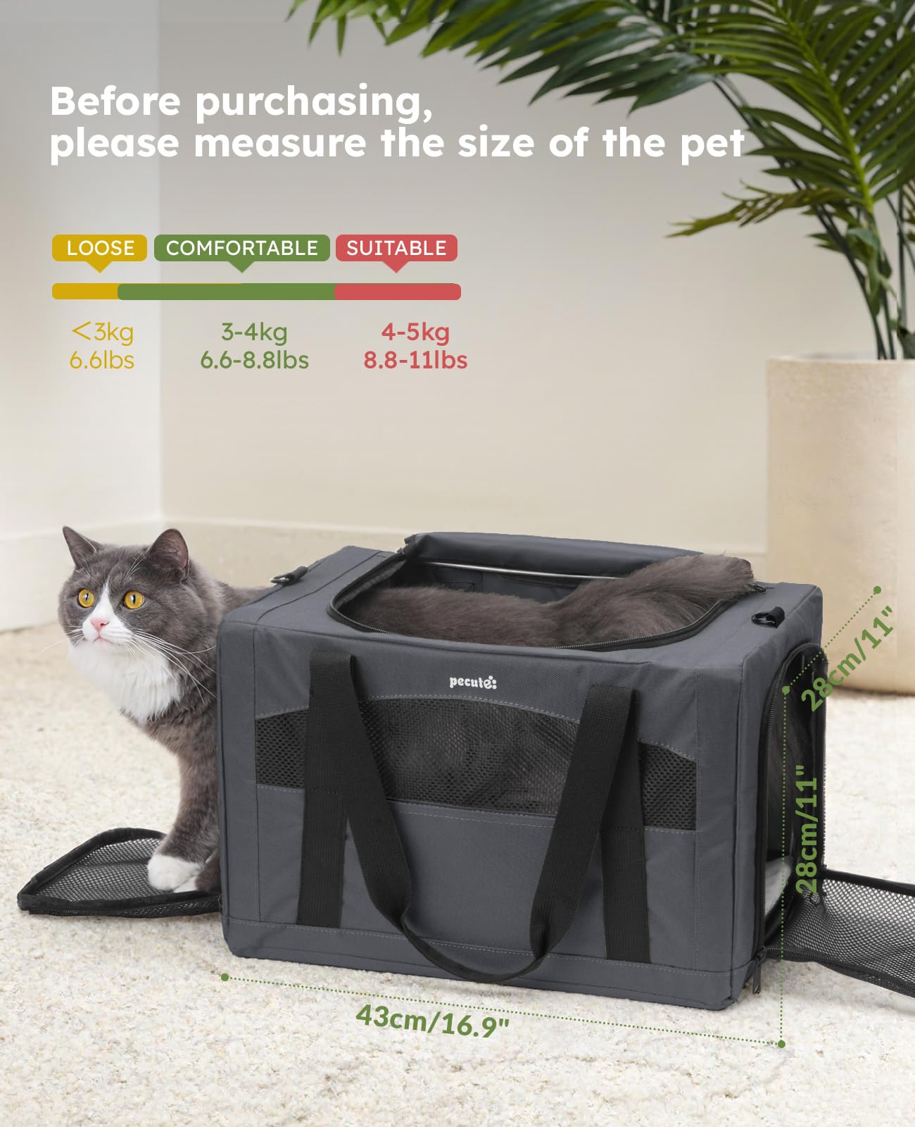 Pecute Cat Carrier 16.9 inch size fits cats under 11lbs.