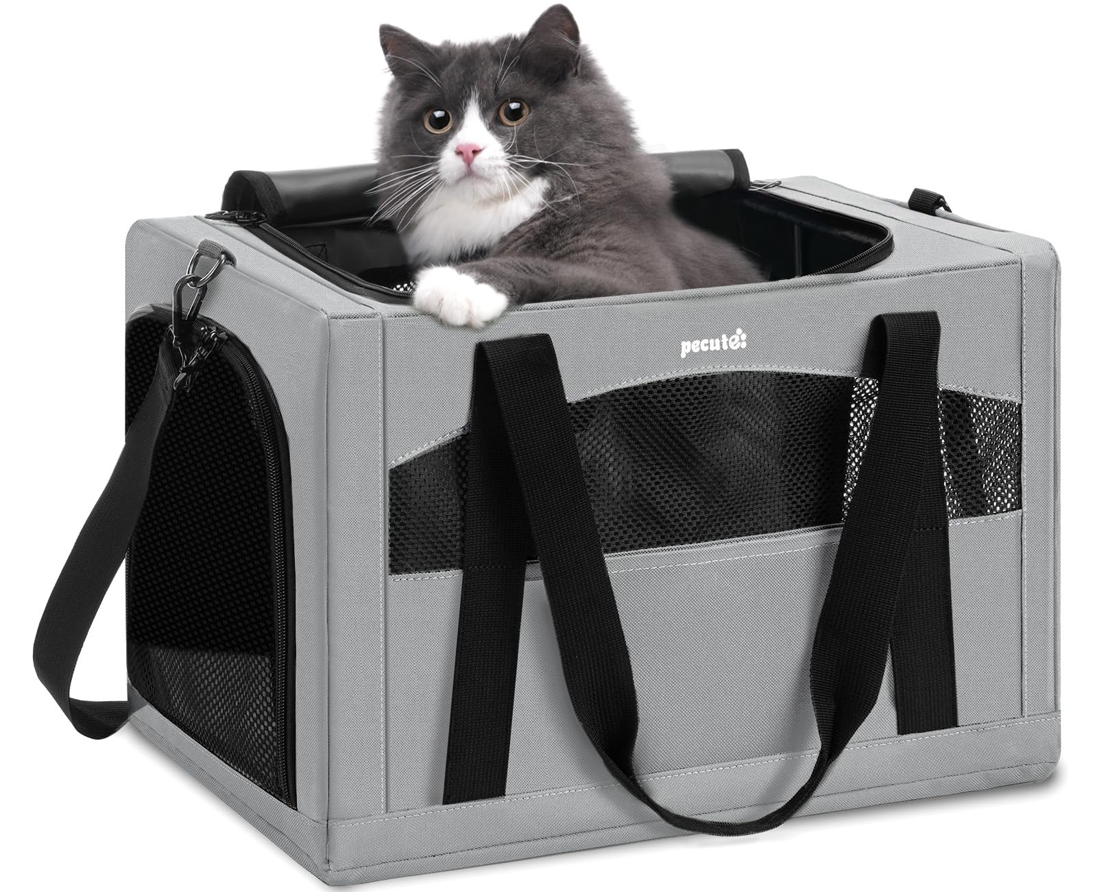 Pecute cat carrier with stable frame for steady rides and secure travel.