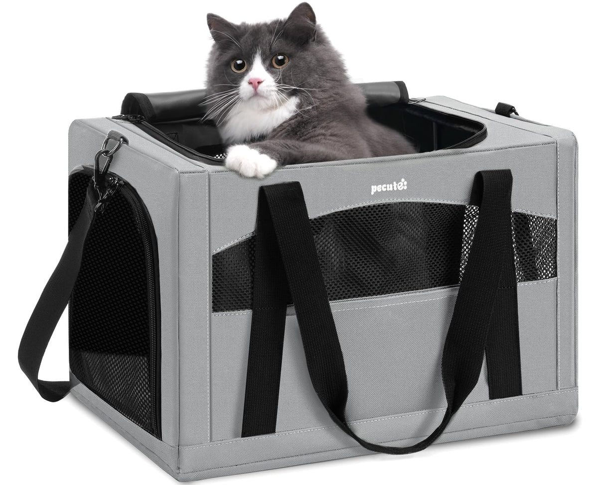 Pecute cat carrier with stable frame for steady rides and secure travel.