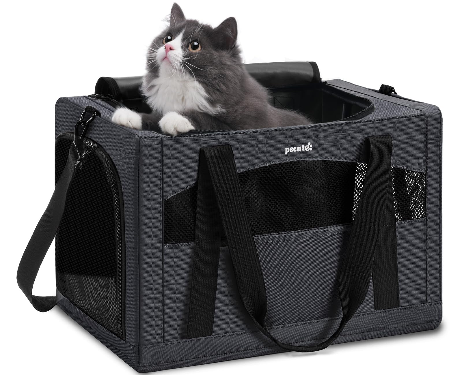 Pecute Cat Carrier stable steel frame keeps pets secure during travel.