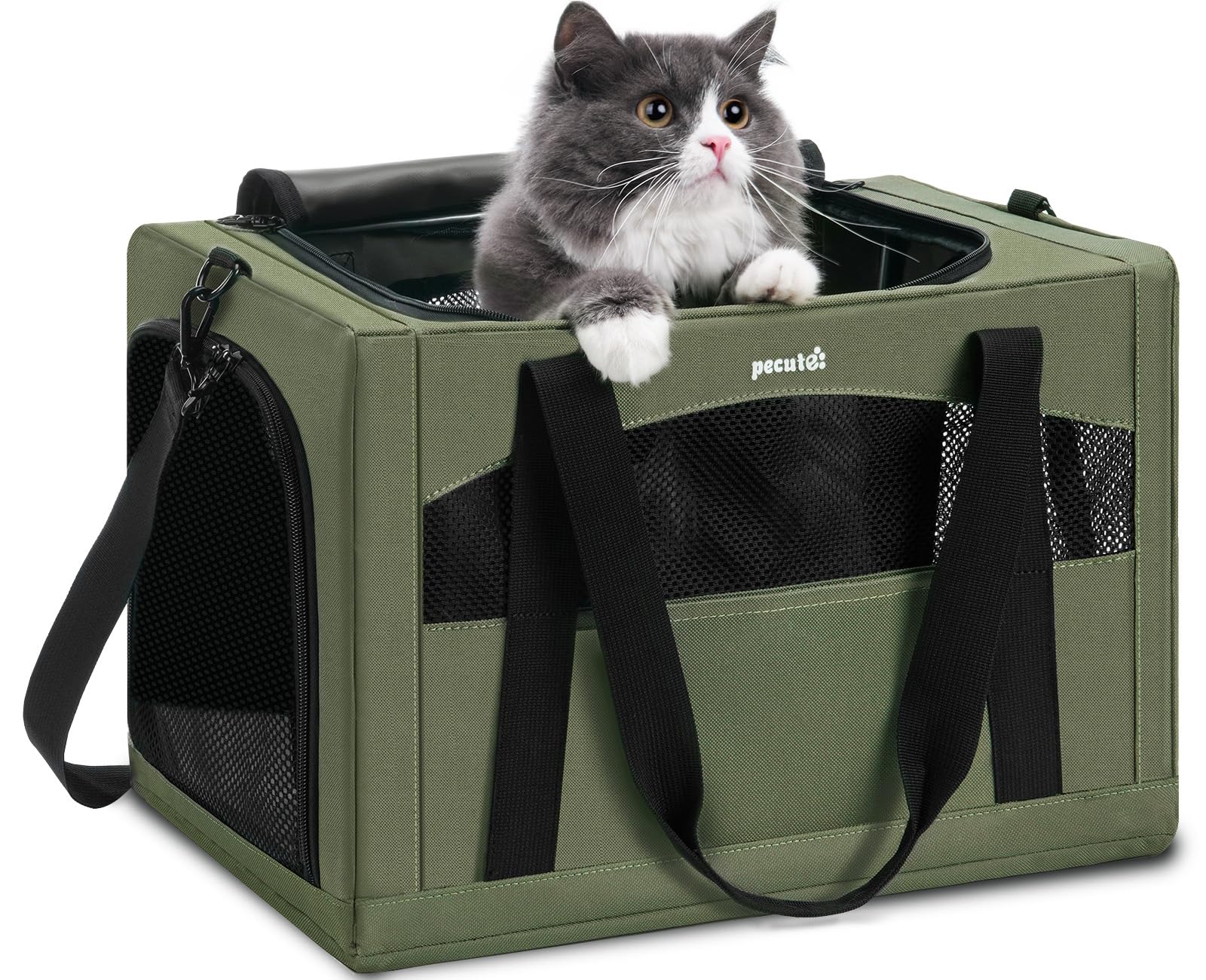 Pecute cat carrier with stable frame for secure travel