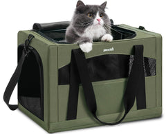 Pecute cat carrier with stable frame for secure travel