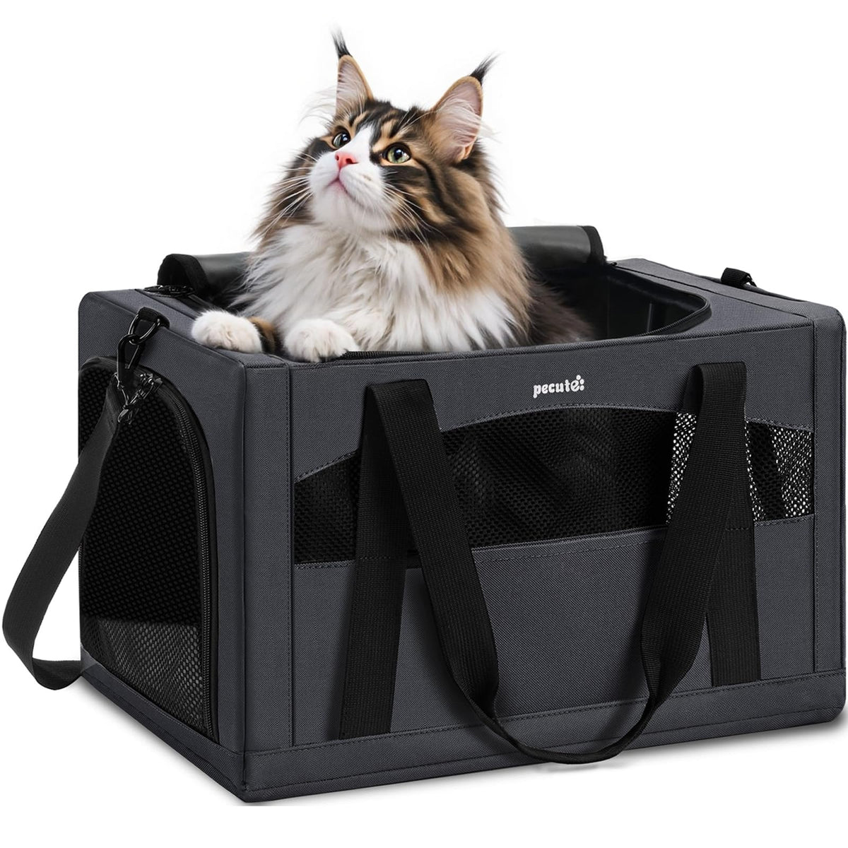 Pecute Stable XL carrier structure supports travel comfort and stability