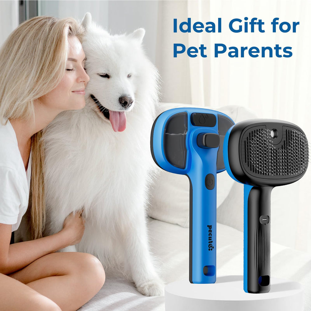 Pecute Cat Steam Brush USB-C charging enables flexible recharging anywhere.