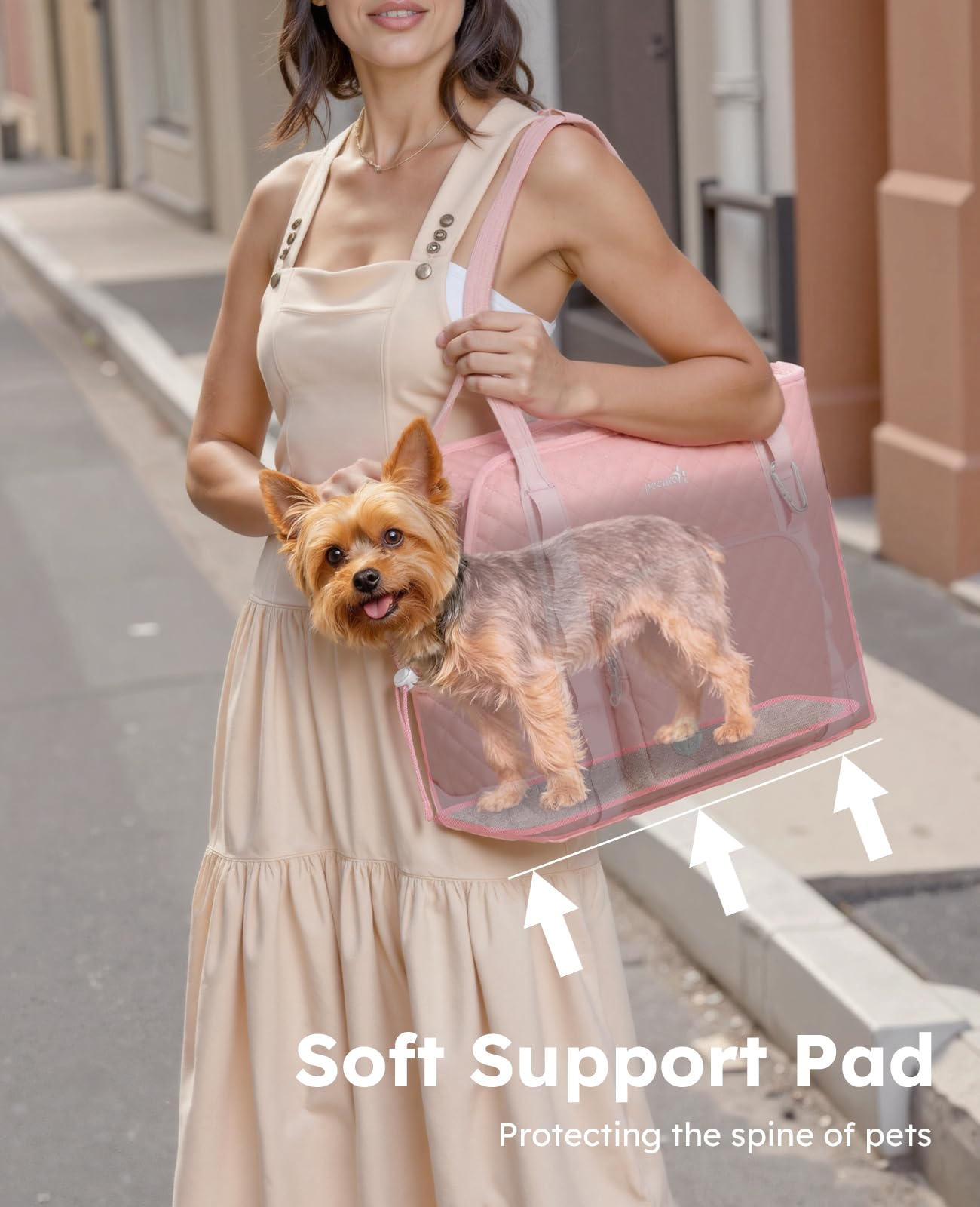Pecute Dog Purse Carrier back pocket for extra travel storage