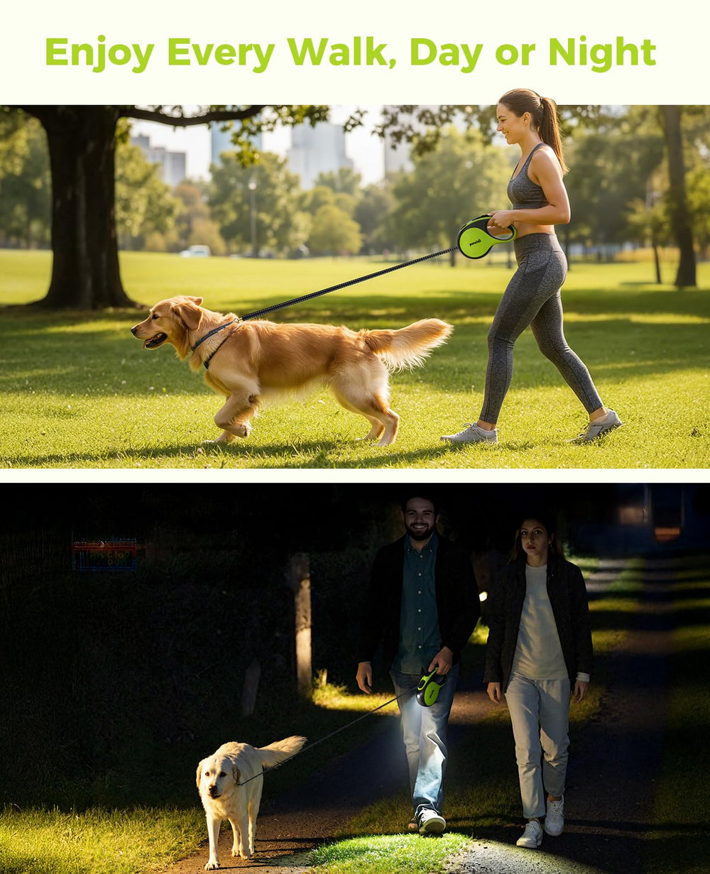 Pecute durable leash for daily adventures on sidewalks and trails.