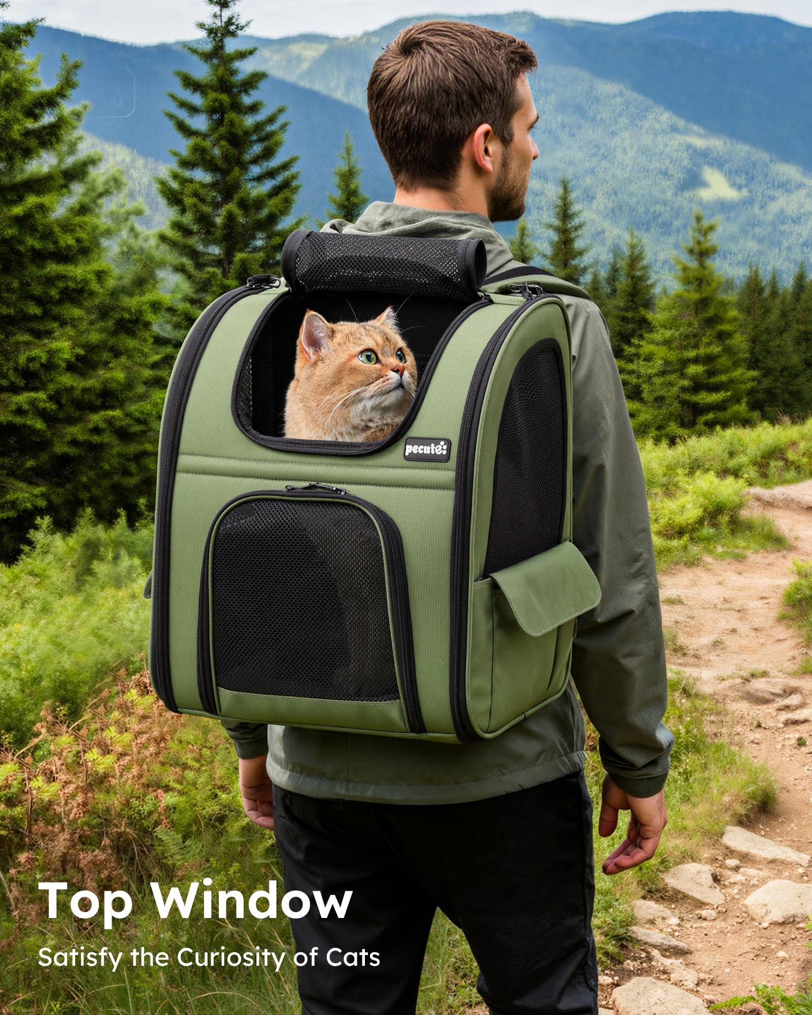 Pecute carrier with four-entry design for easy loading and pet viewing.