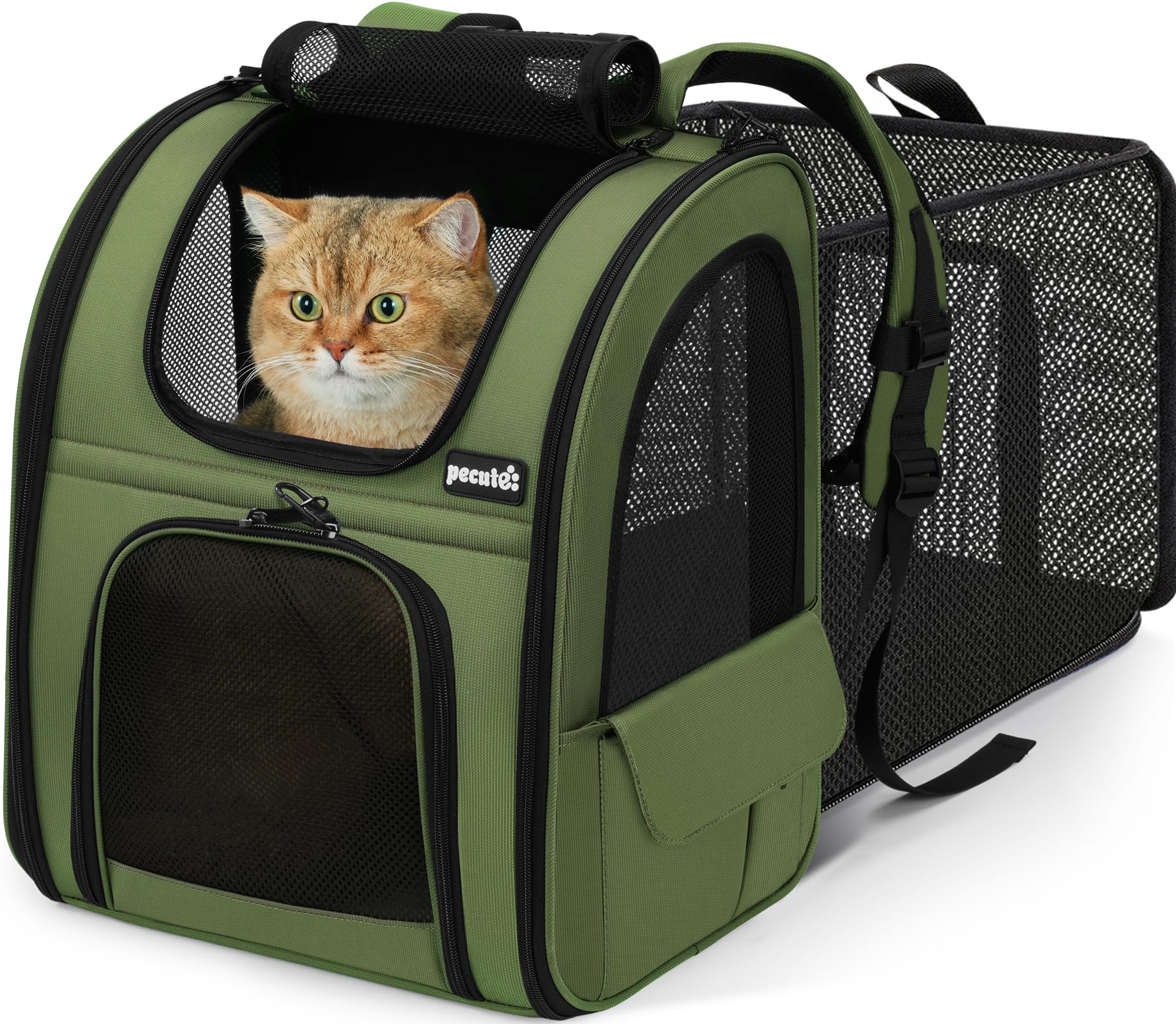 Pecute Expandable Cat Backpack Carrier front view showing expanded space for comfort.