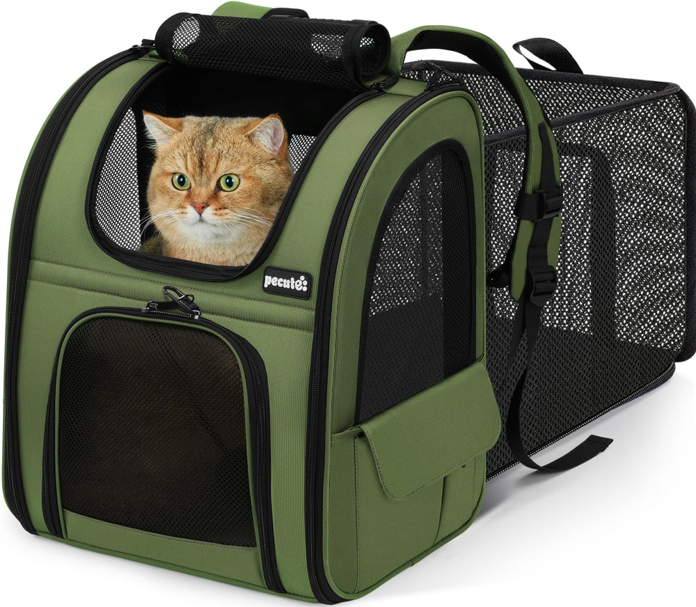 Pecute Expandable Cat Backpack Carrier front view showing expanded space for comfort.