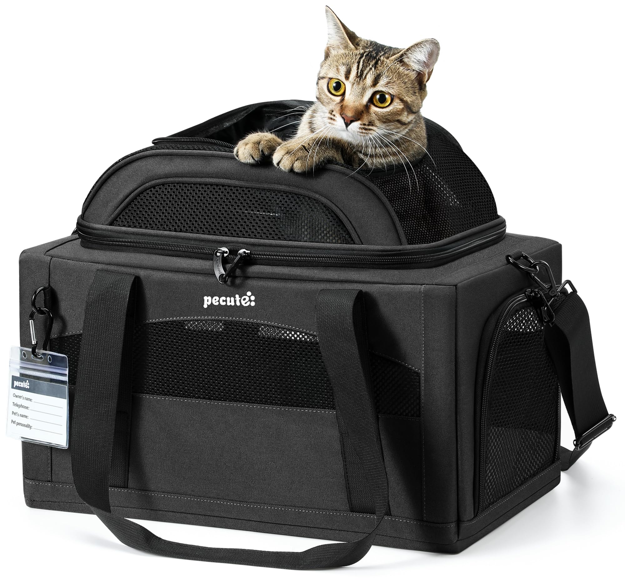 Pecute expandable pet carrier under-seat design aids airline travel.