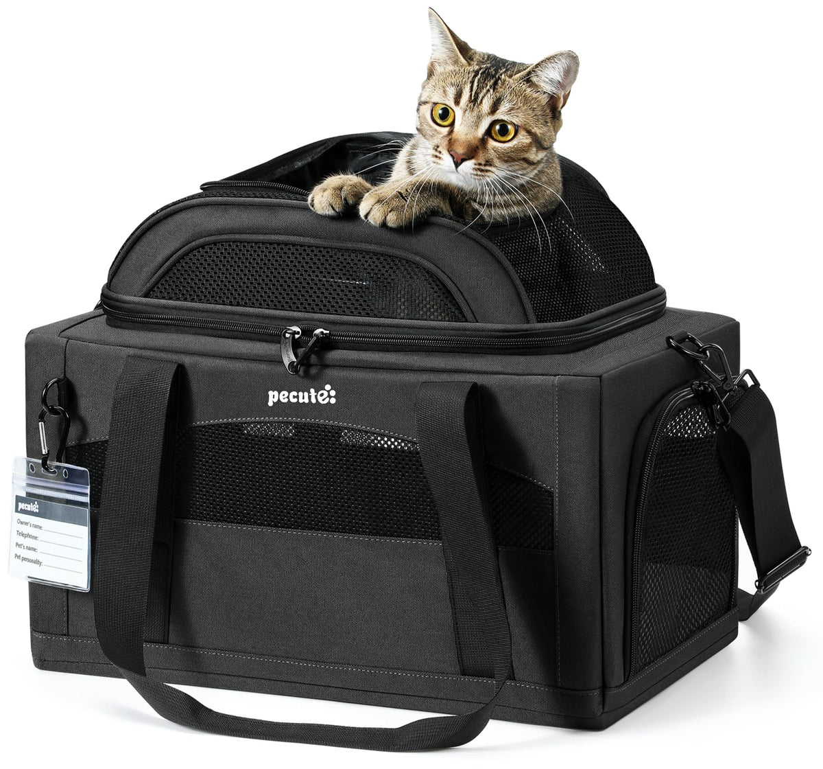 Pecute expandable pet carrier under-seat design aids airline travel.