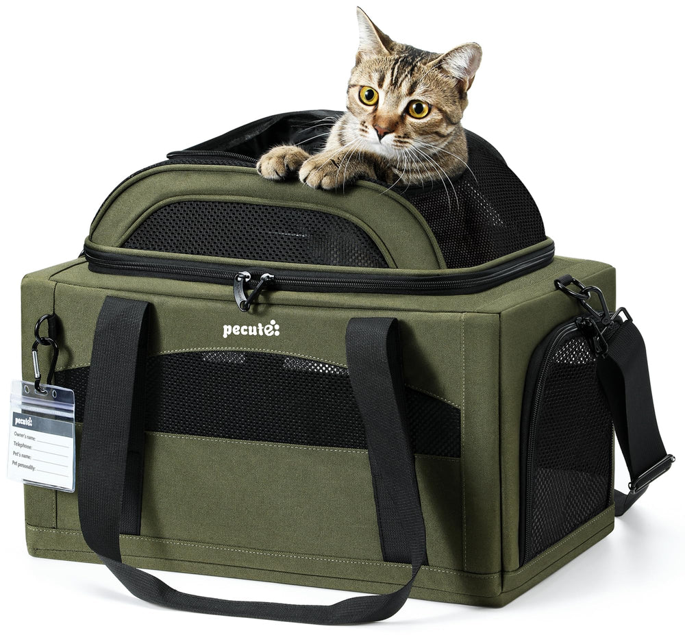 Pecute Expandable Pet Carrier top opening showing extra travel space