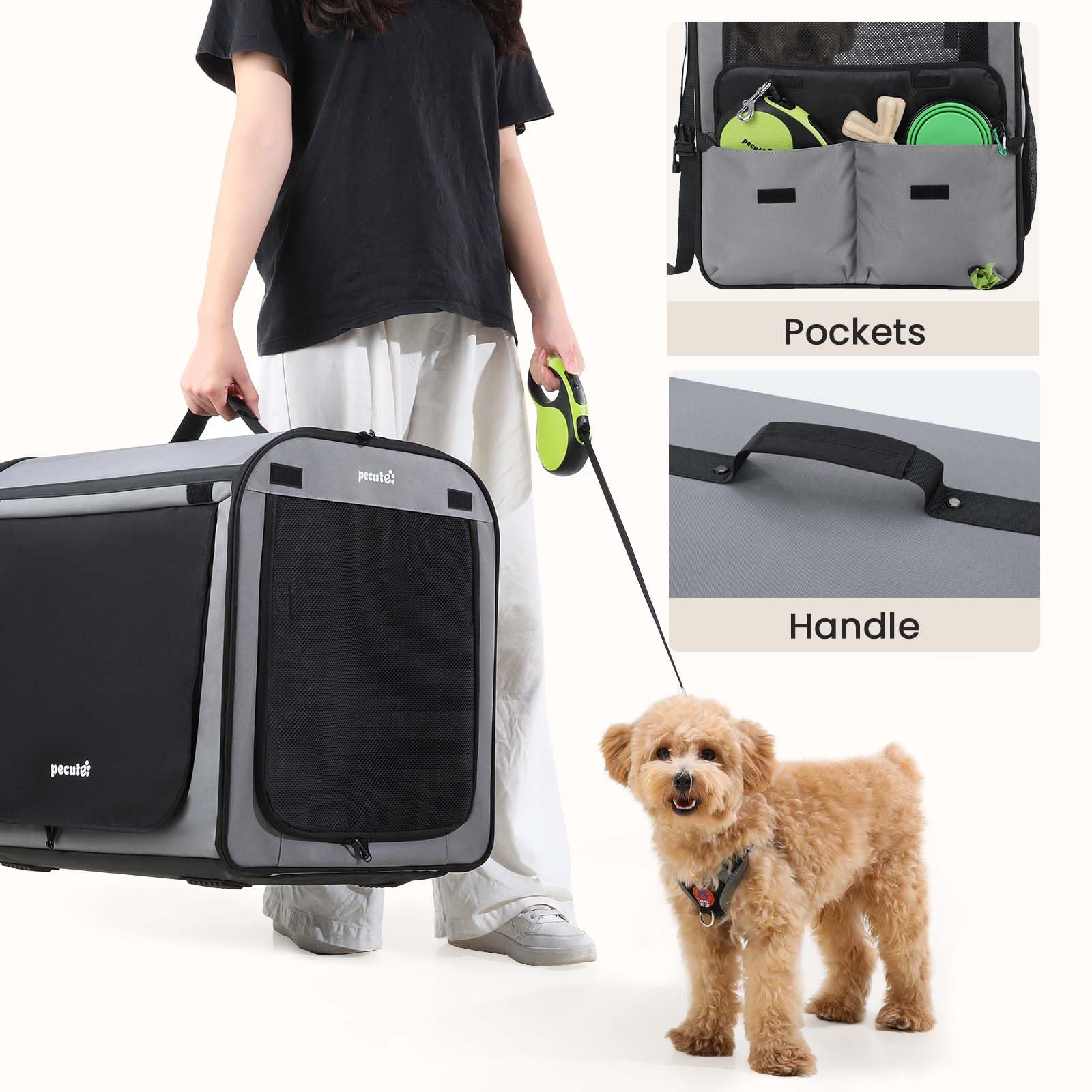 Pecute four-sided mesh promotes ventilation to keep pets cool.