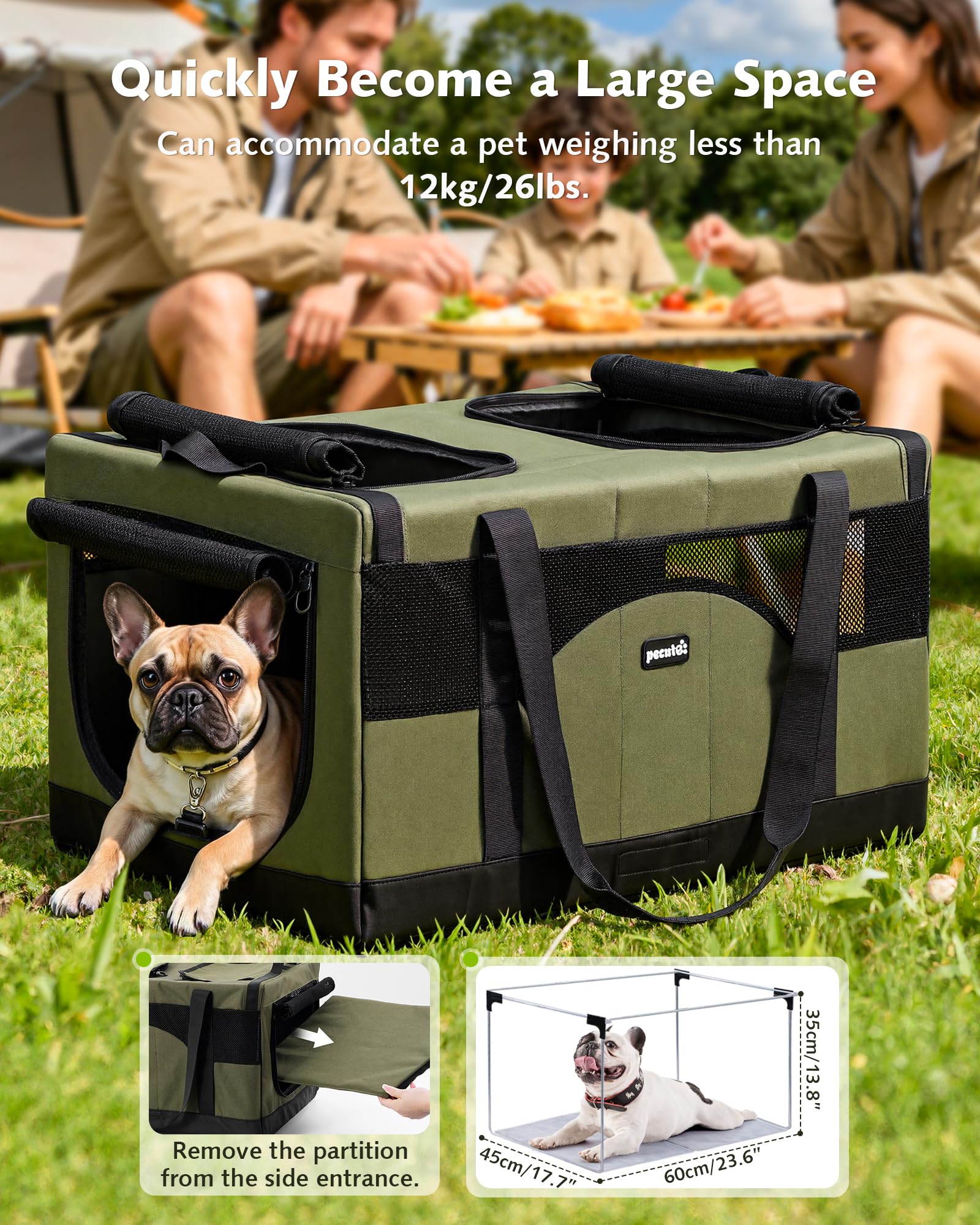 Pecute car-secure design using lap belt to keep the carrier in place.