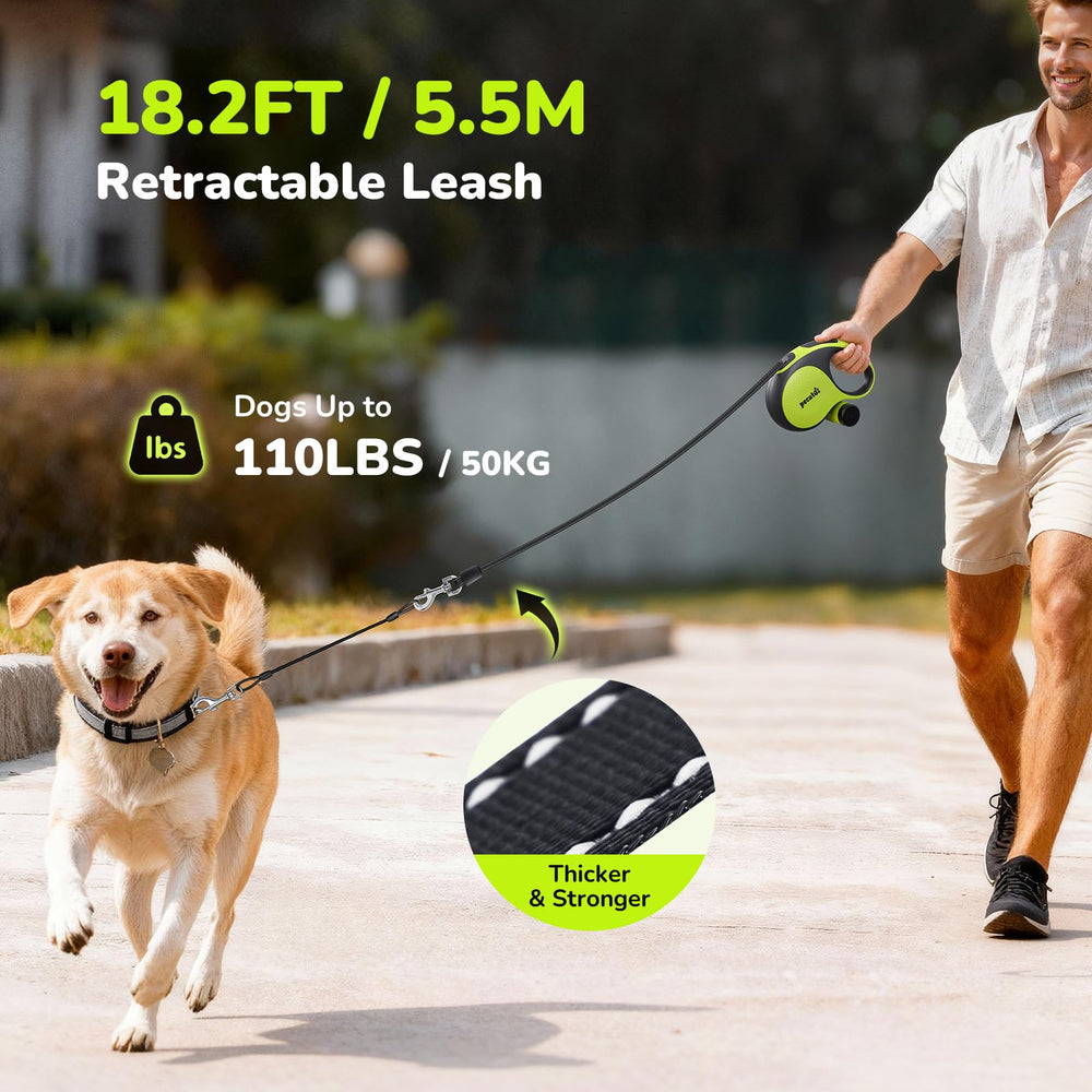 Pecute leash with reflective strip enhances night visibility and safety.