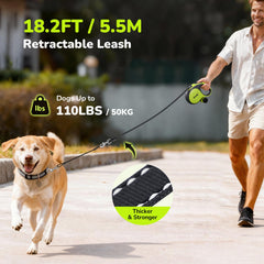 Pecute leash with reflective strip enhances night visibility and safety.