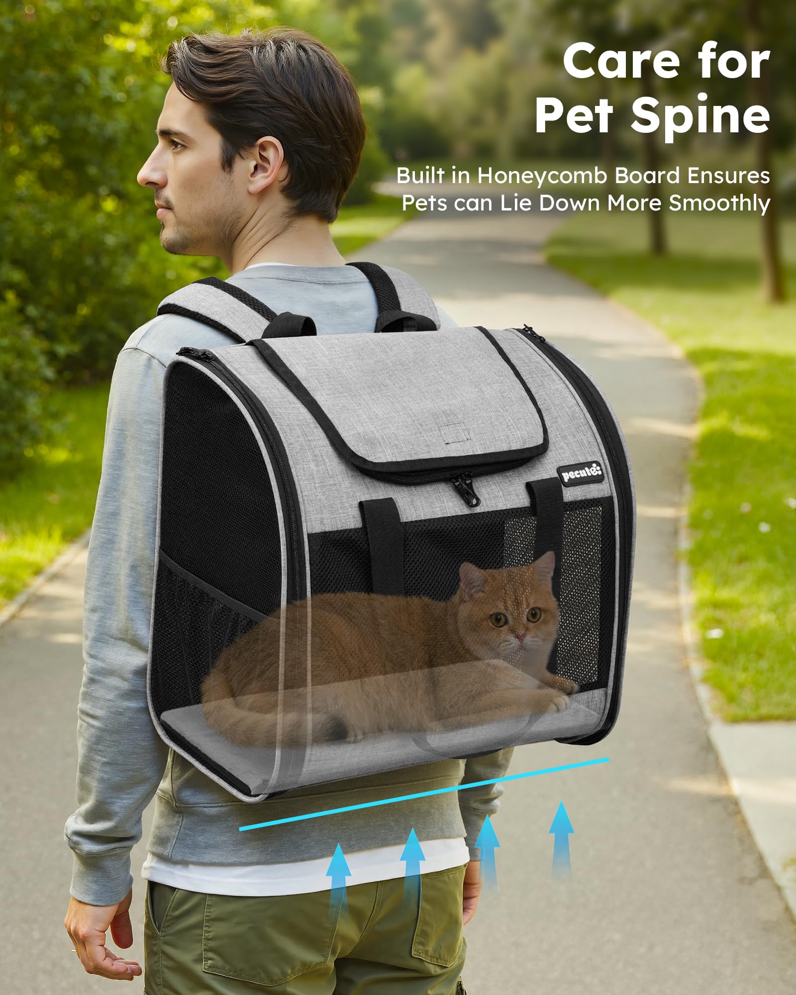Pecute pet backpack dimensions 16.5 by 10.8 by 15.7 inches for pet fit