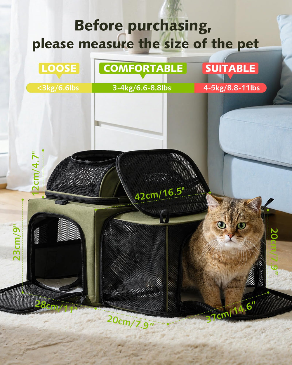 Pecute pet ID tag helps quick identification during trips
